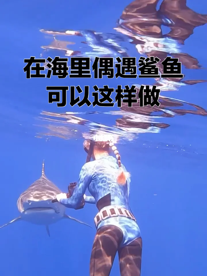 鲨鱼相机苹果版苹果内置相机APP