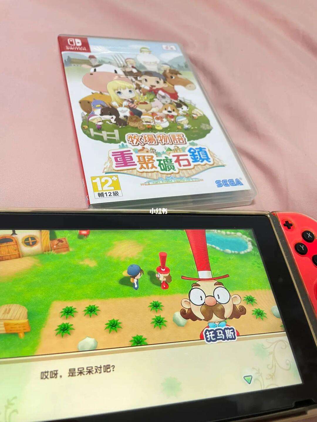 矿石镇有手机版吗牧场物语下载安卓版-第2张图片-太平洋在线下载