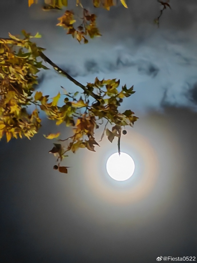 月圆之夜手机版免费观看月圆之夜电脑版和手机版能互通吗