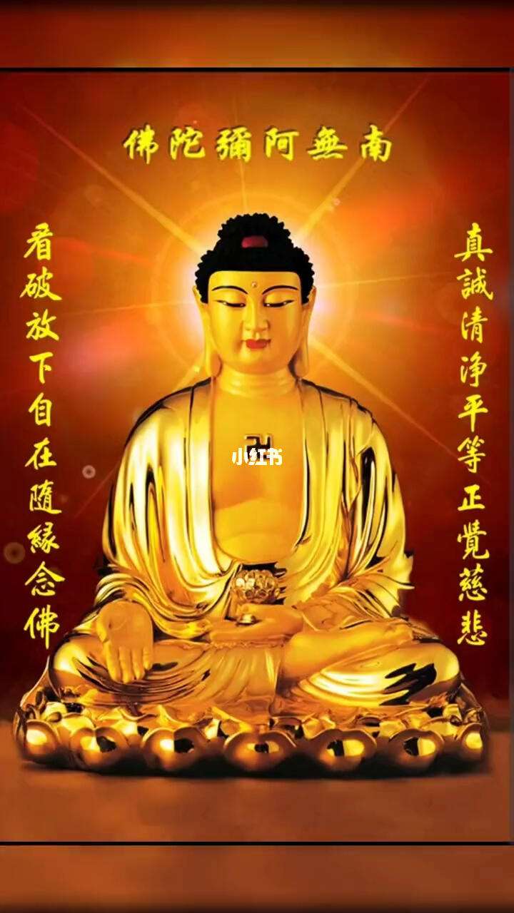 关于佛弟子文库手机版简洁版的信息-第1张图片-太平洋在线下载